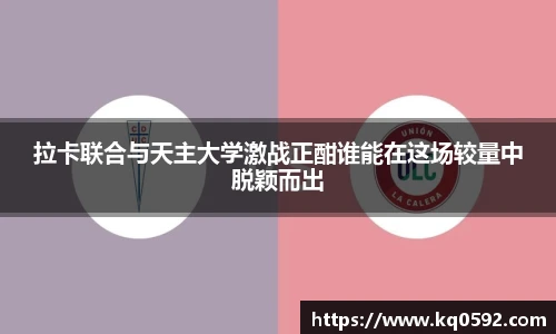 3377体育平台